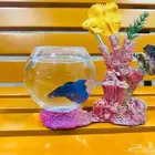 Glass Aquarium with stylish fish