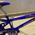 سكيل جديد م فيه شي حتى العلامات حقته موجوده