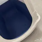 حمام قطط كبير