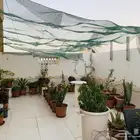 مشتل خاراشان
