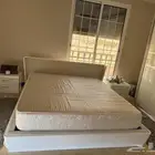 الخبر