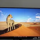 شاشة