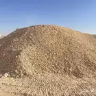 الرياض
