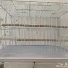 مستلزمات والعاب واكل طيور