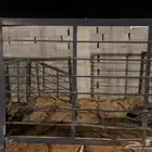 شبك خيل ومواصير كشافات