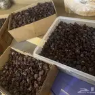زبيب العنب للبيع