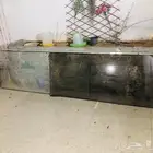 زجاج باب شباب