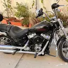 Selling HARLEY DAVIDSON SOFTAIL STANDARD FXST 2023