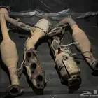 شكمان اف جي