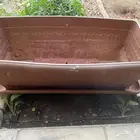 احواض