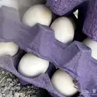 بيض مخصب بلدي للبيع