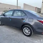 كورلا 2019