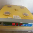فقاسه 98 بيضه