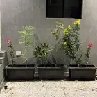 احواض زرع للبيع