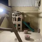العاب اطفال