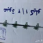 تمر صفري فاخر ملكي