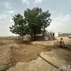 مزرعة للايجار