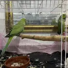 مكه المكرمه