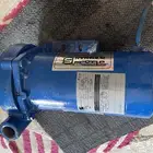 دينمو سمنان حصان ووحد الموقع الكلابيه