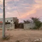 حوش بالعرفاء