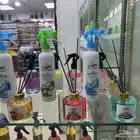 عطور زيتيه مركزه خاليه من الكحول