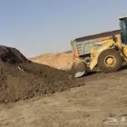 سماد بقري وبياض