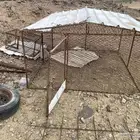 شبك