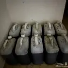 زيت زيتون الشام