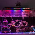 حوض سمك بكل المعدات