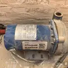 دينمو سمنان أمريكي نص حصان