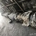 قير لكزس كل الفئات