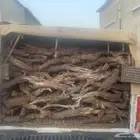 مستورد غمارتين بدون تانكي