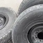 جنوط شنبر