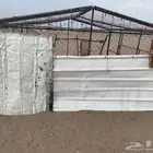 شبك