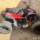 دباب شبيه الرابتر صيني للبيع