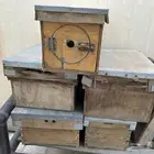 صناديق نحل