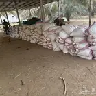 نفيع تمر
