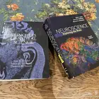 كتب في علم الأعصاب
