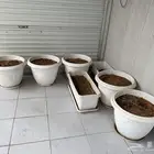 احواض زراعه