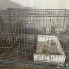 قفص قطط وكلاب حجم كبير ب 200 ريال