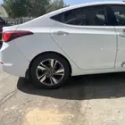 جنوط النترا