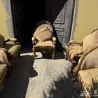 كنب