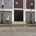 نخيل اجود انواع النخل