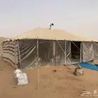 بيت شعر