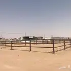 شبك جديد ويوجد فيه خزان وبياره بسوق الابل