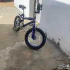 سيكل 16كوبرا