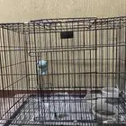 قفص كبير للحيوانات