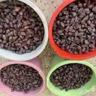 حلوة بقعاء