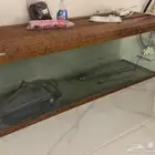 حوض سمك