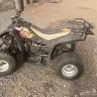 دباب سويدي 100